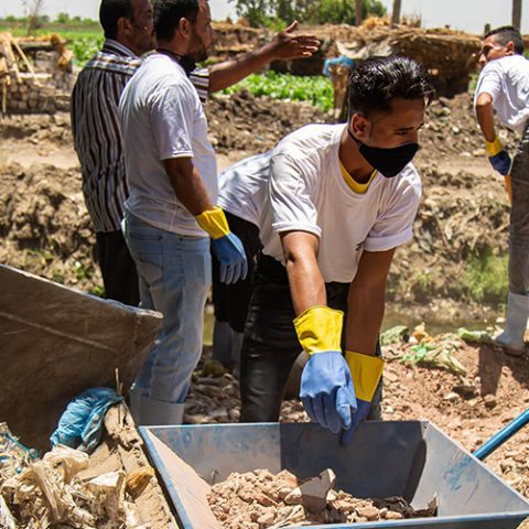 Organizational Transformation Technical Assistance, 2017